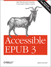 Book Cover for Accessible EPUB3