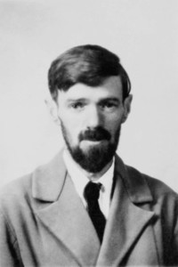 D. H. Lawrence