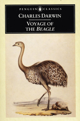 The Voyage of the Beagle by Charles Darwin